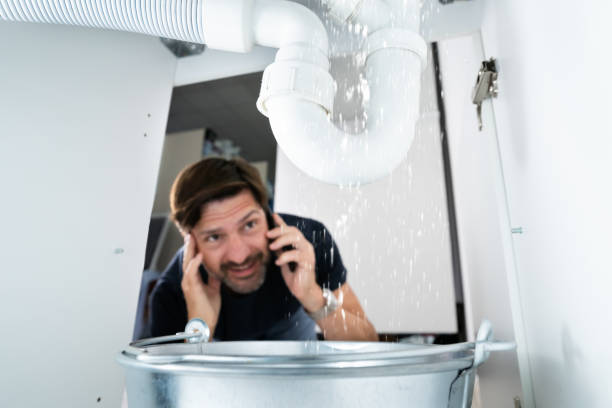 Best Clogged Drain Plumber  in Citrus Park, AZ