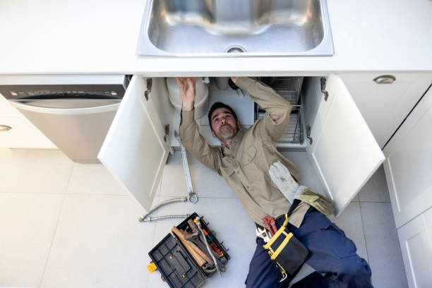 Best Commercial Plumbing Services  in Citrus Park, AZ