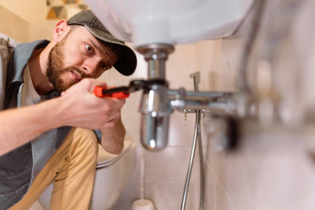 Best Affordable Plumbing Services  in Citrus Park, AZ