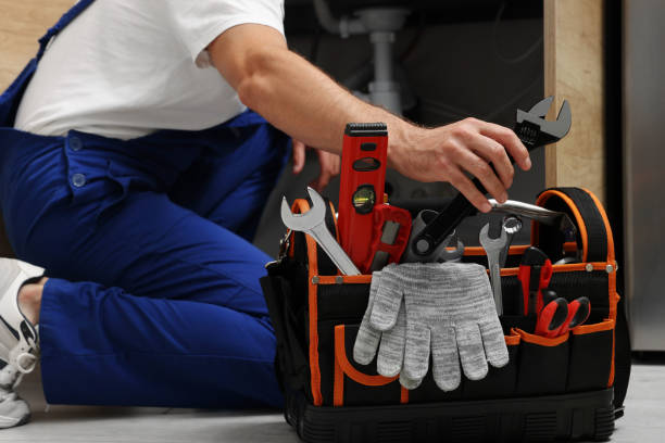 Best Affordable Plumber Near Me  in Citrus Park, AZ