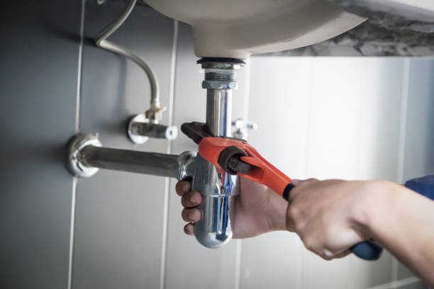 Best Local Plumber Services  in Citrus Park, AZ