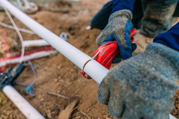 Sprinkler Systems in Citrus Park, AZ